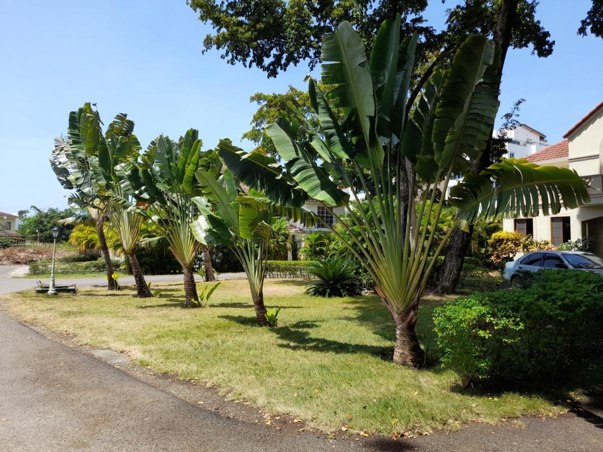 楼阁住宿加早餐旅馆 Sosúa 外观 照片
